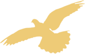 1625117216792959.png image.png